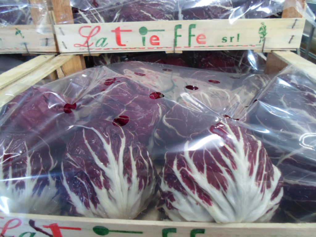 Radicchio Rosso di Chioggia