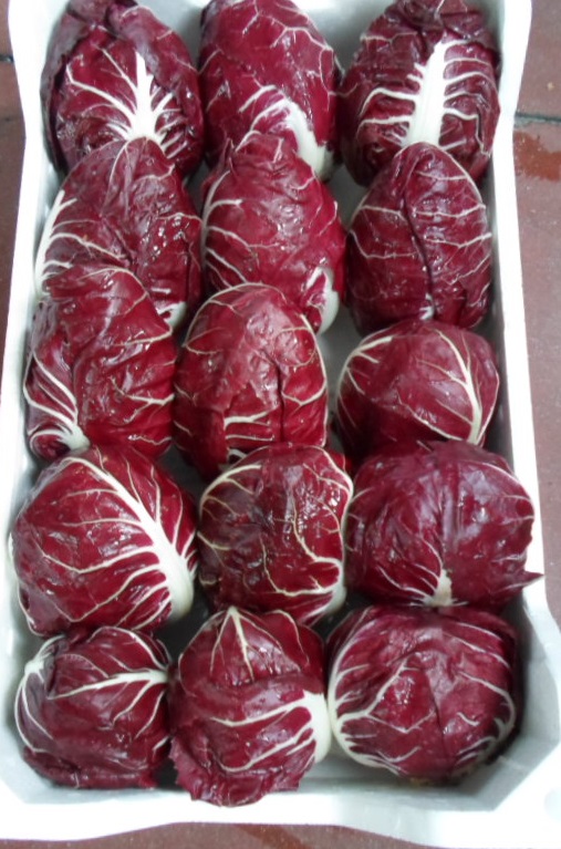 Radicchio Rosso di Verona