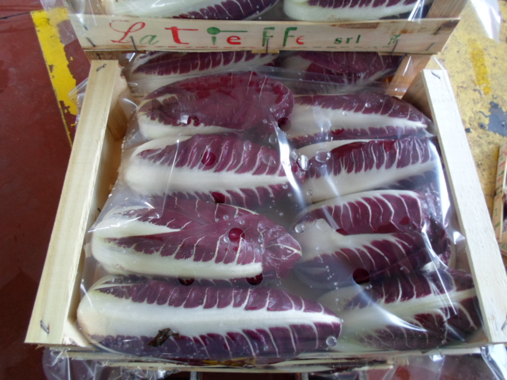 Radicchio Rosso di Chioggia