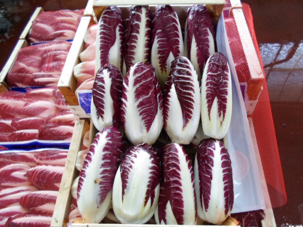 Radicchio Rosso di Chioggia