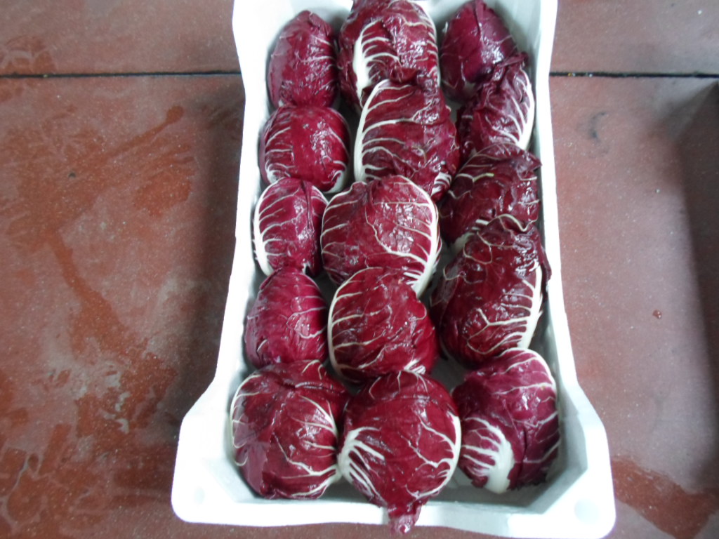 Radicchio Rosso di Verona