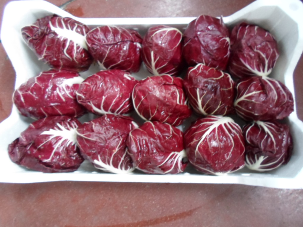 Radicchio Rosso di Verona